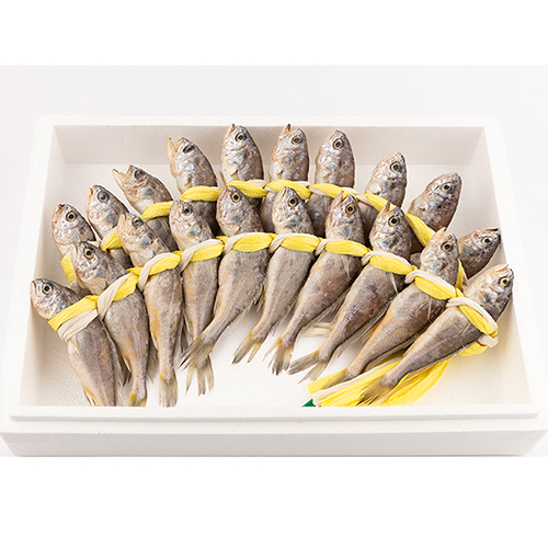 [영광수산] 굴비 장대 3호 20미, 1,400g