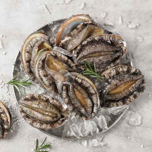 [청산바다] 명품 완도활전복(특대) 1kg (1kg, 9-10미)